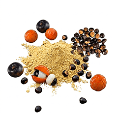 Functional Food Ingredients